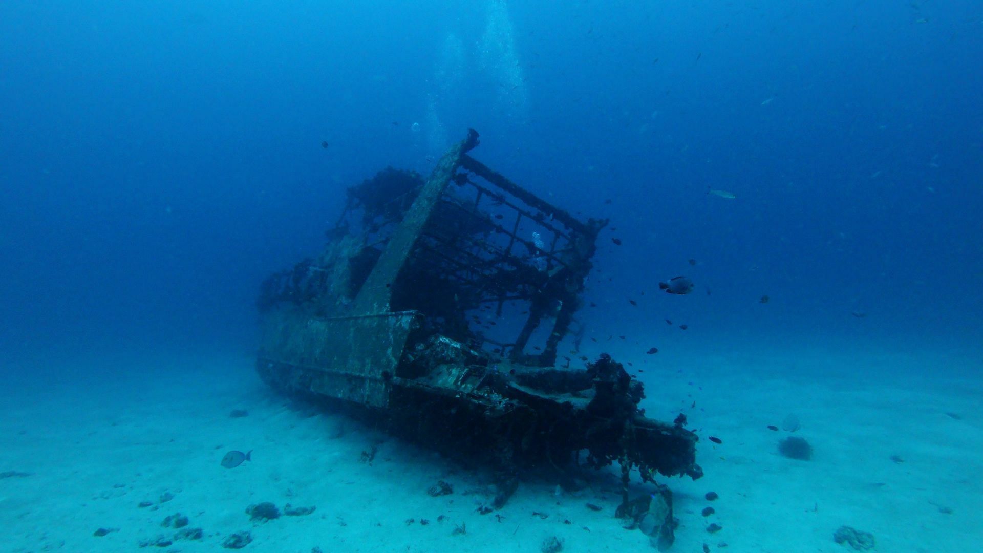 Titan: The OceanGate Disaster reveals that the expert's advice was neglected (Image via Unsplash/@Olga ga)